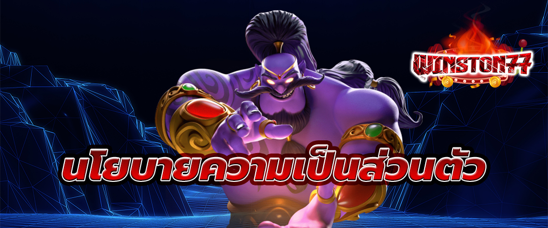 นโยบายความเป็นส่วนตัว